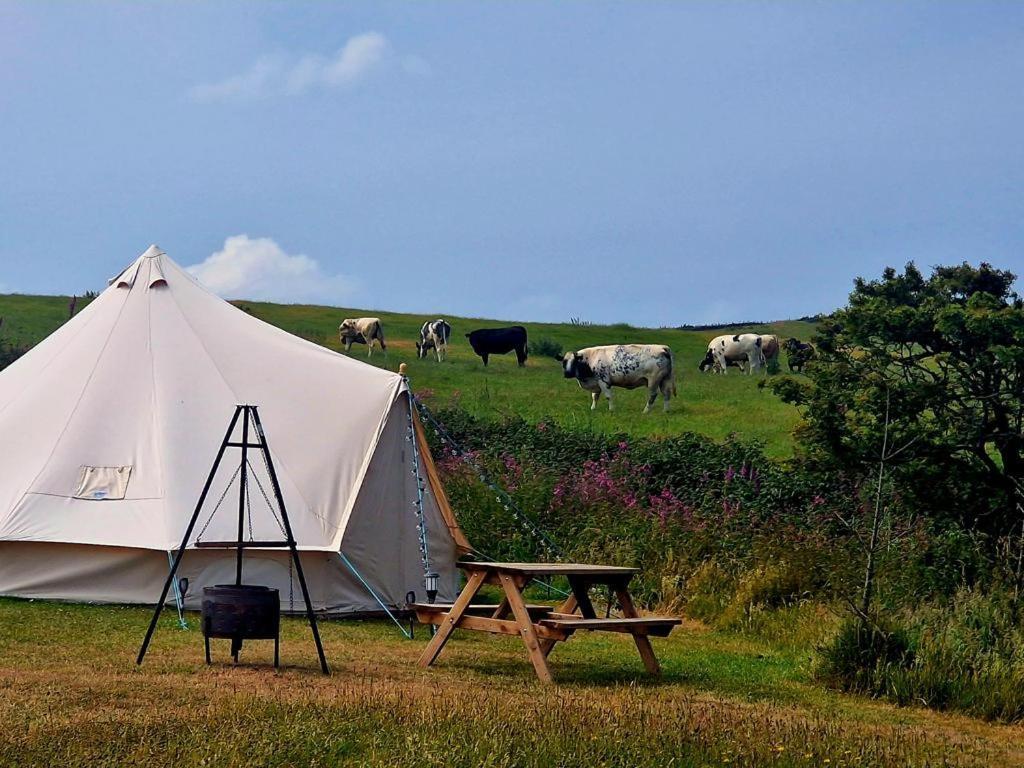 Beautiful 1-Bed Bell Tent In Хоулихед Екстериор снимка